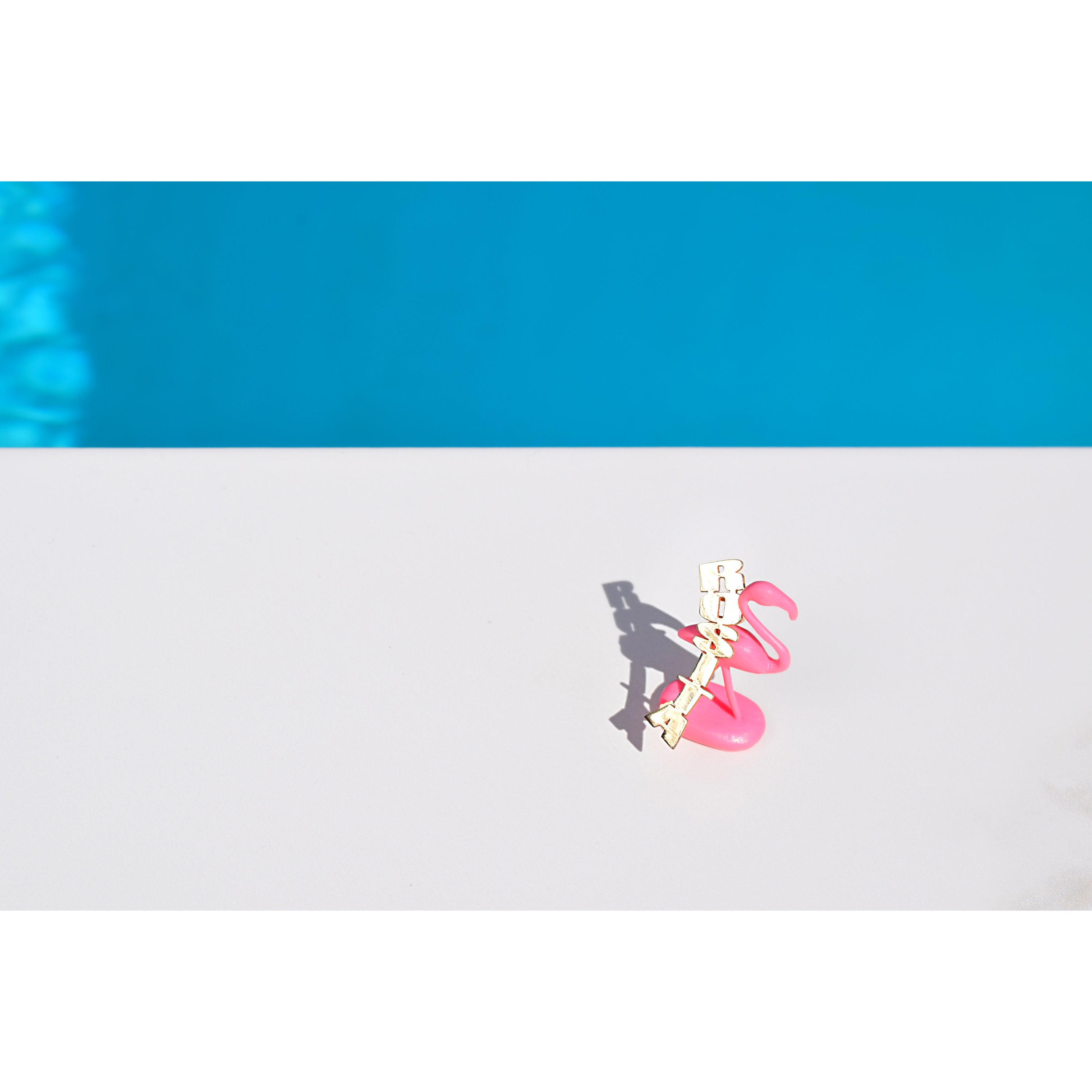 Zoom